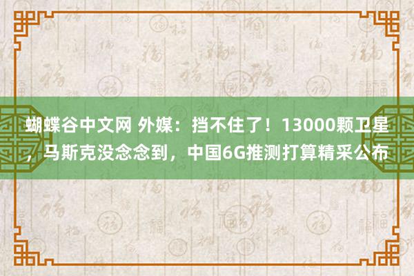 蝴蝶谷中文网 外媒：挡不住了！13000颗卫星，马斯克没念念到，中国6G推测打算精采公布