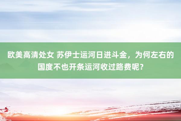 欧美高清处女 苏伊士运河日进斗金，为何左右的国度不也开条运河收过路费呢？