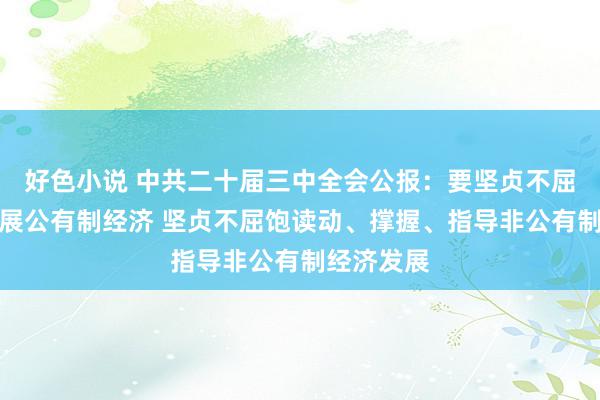 好色小说 中共二十届三中全会公报：要坚贞不屈牢固和发展公有制经济 坚贞不屈饱读动、撑握、指导非公有制经济发展