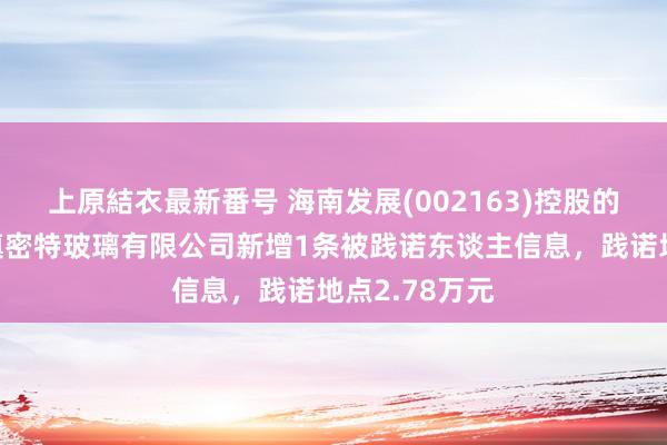 上原結衣最新番号 海南发展(002163)控股的深圳市三鑫缜密特玻璃有限公司新增1条被践诺东谈主信息，践诺地点2.78万元