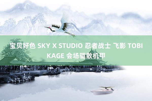 宝贝好色 SKY X STUDIO 忍者战士 飞影 TOBIKAGE 会场驱散机甲