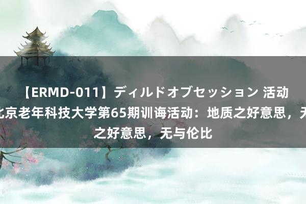 【ERMD-011】ディルドオブセッション 活动回想 | 北京老年科技大学第65期训诲活动：地质之好意思，无与伦比