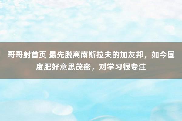 哥哥射首页 最先脱离南斯拉夫的加友邦，如今国度肥好意思茂密，对学习很专注