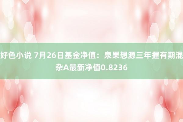 好色小说 7月26日基金净值：泉果想源三年握有期混杂A最新净值0.8236