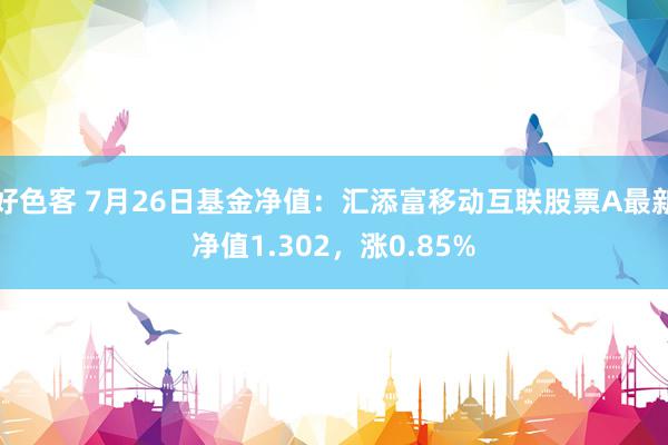 好色客 7月26日基金净值：汇添富移动互联股票A最新净值1.302，涨0.85%