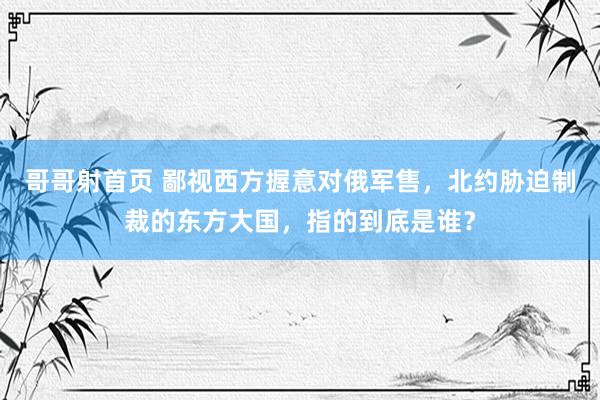 哥哥射首页 鄙视西方握意对俄军售，北约胁迫制裁的东方大国，指的到底是谁？