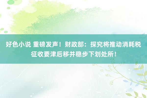 好色小说 重磅发声！财政部：探究将推动消耗税征收要津后移并稳步下划处所！