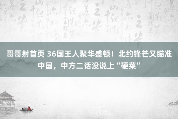 哥哥射首页 36国王人聚华盛顿！北约锋芒又瞄准中国，中方二话没说上“硬菜”