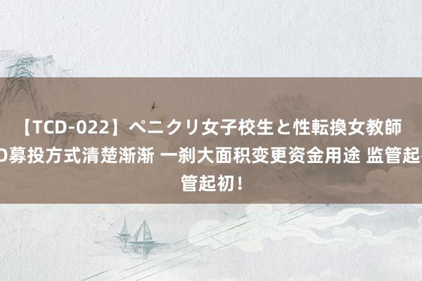 【TCD-022】ペニクリ女子校生と性転換女教師 IPO募投方式清楚渐渐 一刹大面积变更资金用途 监管起初！