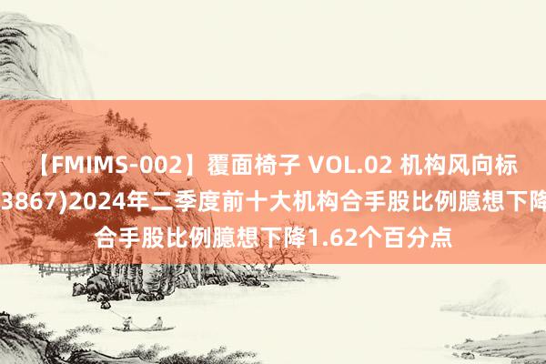 【FMIMS-002】覆面椅子 VOL.02 机构风向标 | 新化股份(603867)2024年二季度前十大机构合手股比例臆想下降1.62个百分点