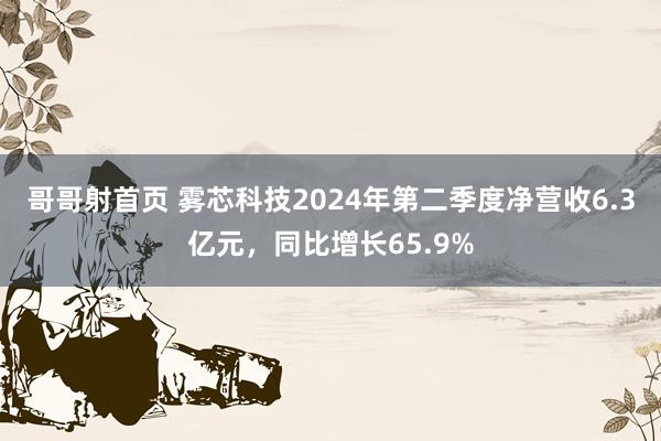 哥哥射首页 雾芯科技2024年第二季度净营收6.3亿元，同比增长65.9%