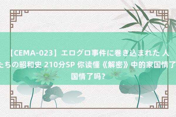 【CEMA-023】エログロ事件に巻き込まれた 人妻たちの昭和史 210分SP 你读懂《解密》中的家国情了吗？