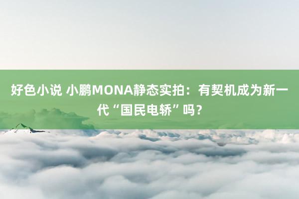 好色小说 小鹏MONA静态实拍：有契机成为新一代“国民电轿”吗？