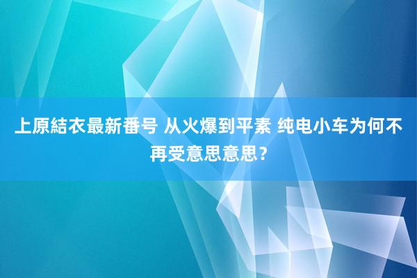 上原結衣最新番号 从火爆到平素 纯电小车为何不再受意思意思？