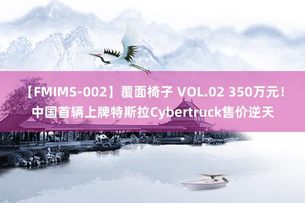 【FMIMS-002】覆面椅子 VOL.02 350万元！中国首辆上牌特斯拉Cybertruck售价逆天