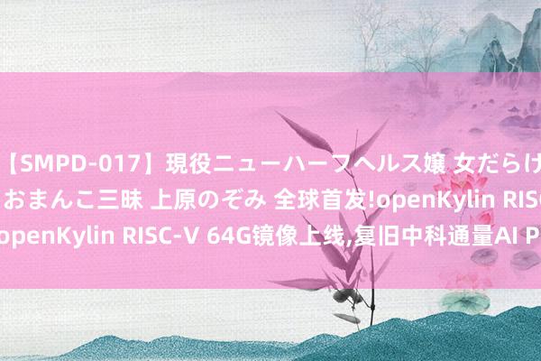 【SMPD-017】現役ニューハーフヘルス嬢 女だらけのスペシャルコース おまんこ三昧 上原のぞみ 全球首发!openKylin RISC-V 64G镜像上线,复旧中科通量AI PC