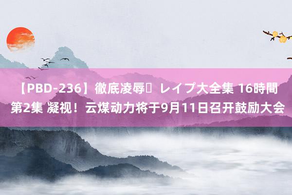 【PBD-236】徹底凌辱・レイプ大全集 16時間 第2集 凝视！云煤动力将于9月11日召开鼓励大会