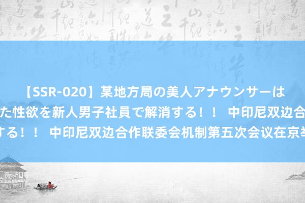 【SSR-020】某地方局の美人アナウンサーは忙し過ぎて溜まりまくった性欲を新人男子社員で解消する！！ 中印尼双边合作联委会机制第五次会议在京举行