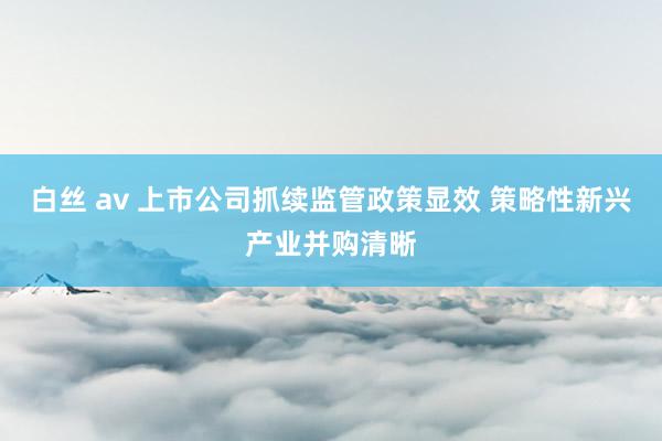 白丝 av 上市公司抓续监管政策显效 策略性新兴产业并购清晰