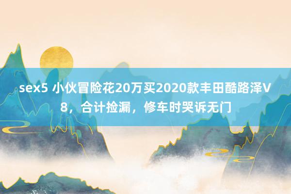 sex5 小伙冒险花20万买2020款丰田酷路泽V8，合计捡漏，修车时哭诉无门