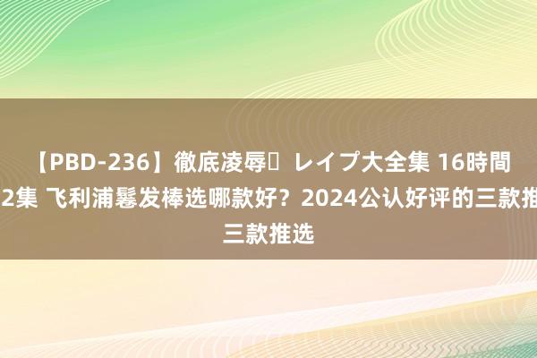 【PBD-236】徹底凌辱・レイプ大全集 16時間 第2集 飞利浦鬈发棒选哪款好？2024公认好评的三款推选